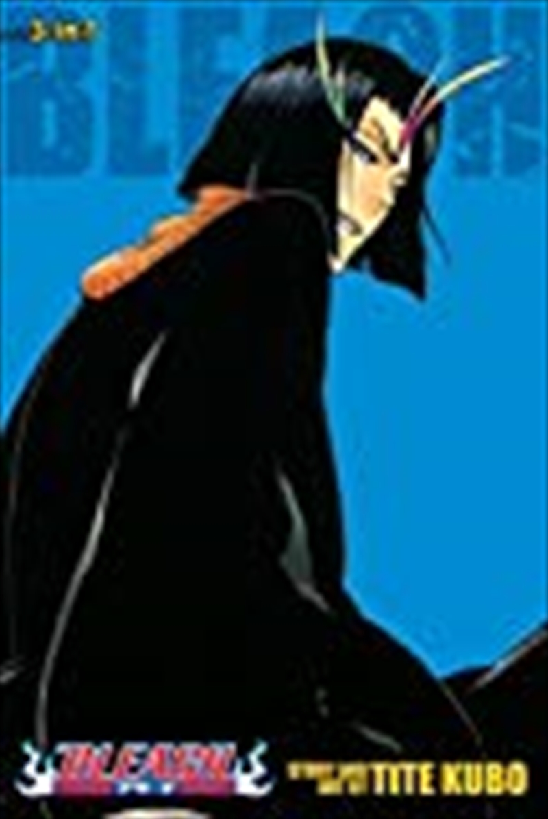 Bleach (3-in-1 Edition), Vol. 13/Product Detail/Manga