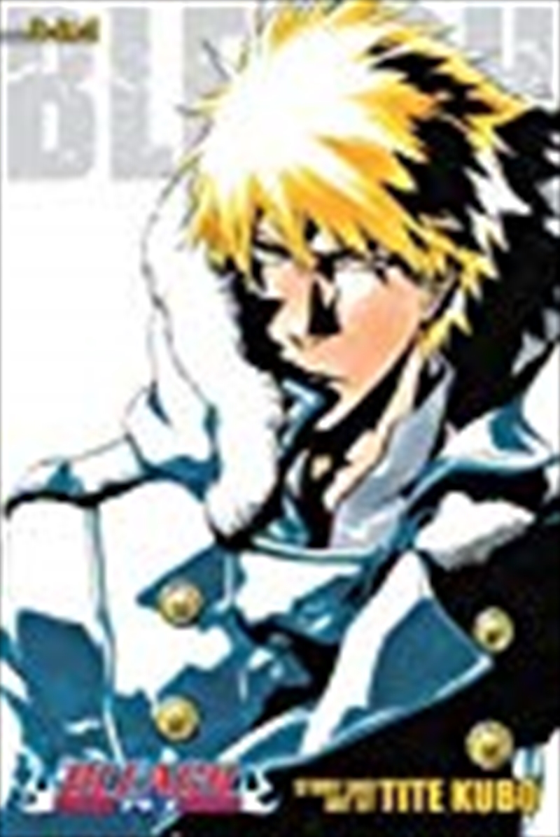 Bleach (3-in-1 Edition), Vol. 17/Product Detail/Manga