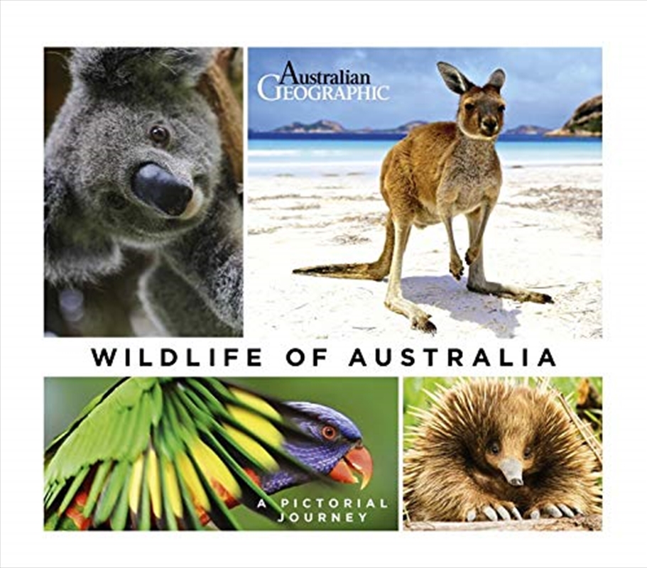 Buy Wildlife of Australia Online | Sanity