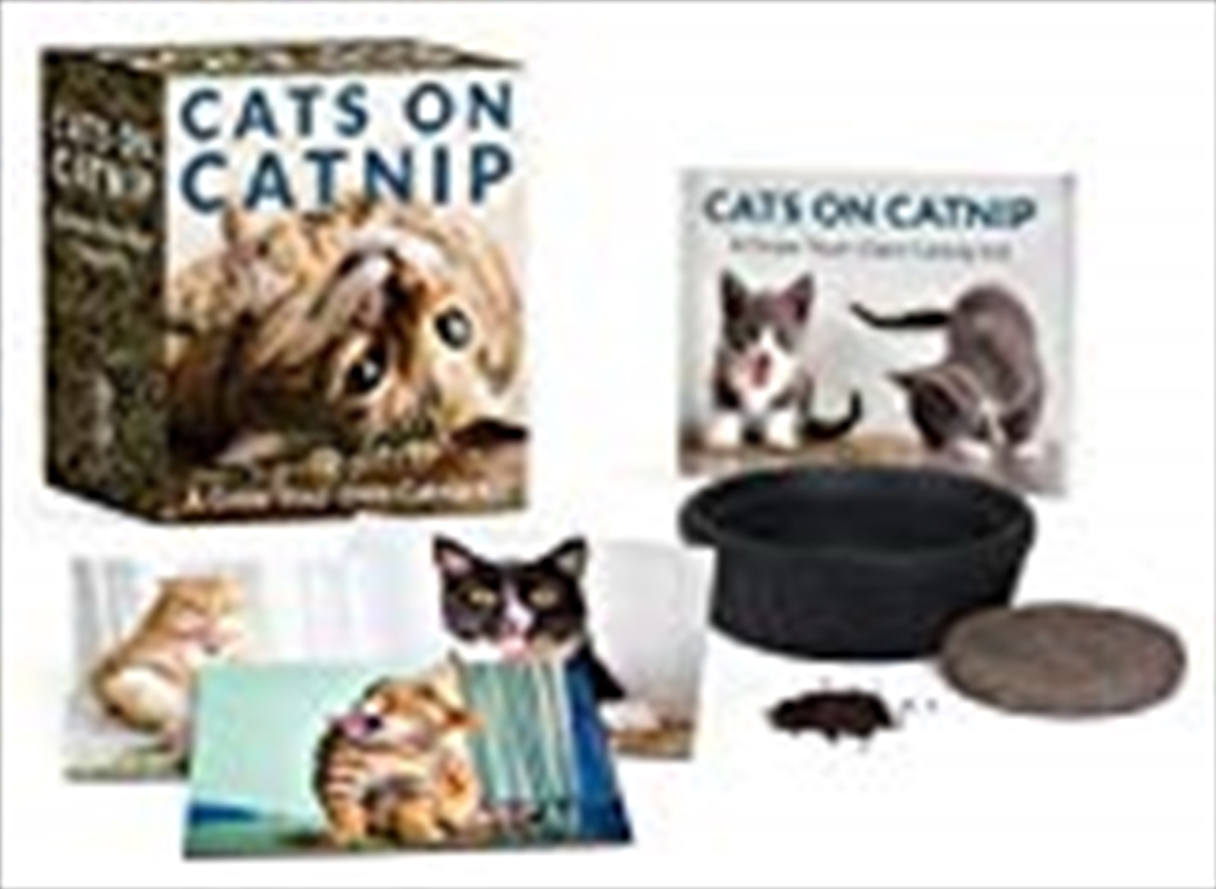 Cats on Catnip: A Grow-Your-Own Catnip Kit (RP Minis)/Product Detail/Animals & Nature