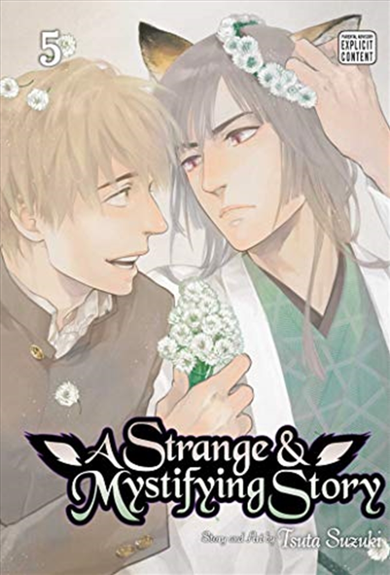 Strange & Mystifying Story, Vol. 5/Product Detail/Manga