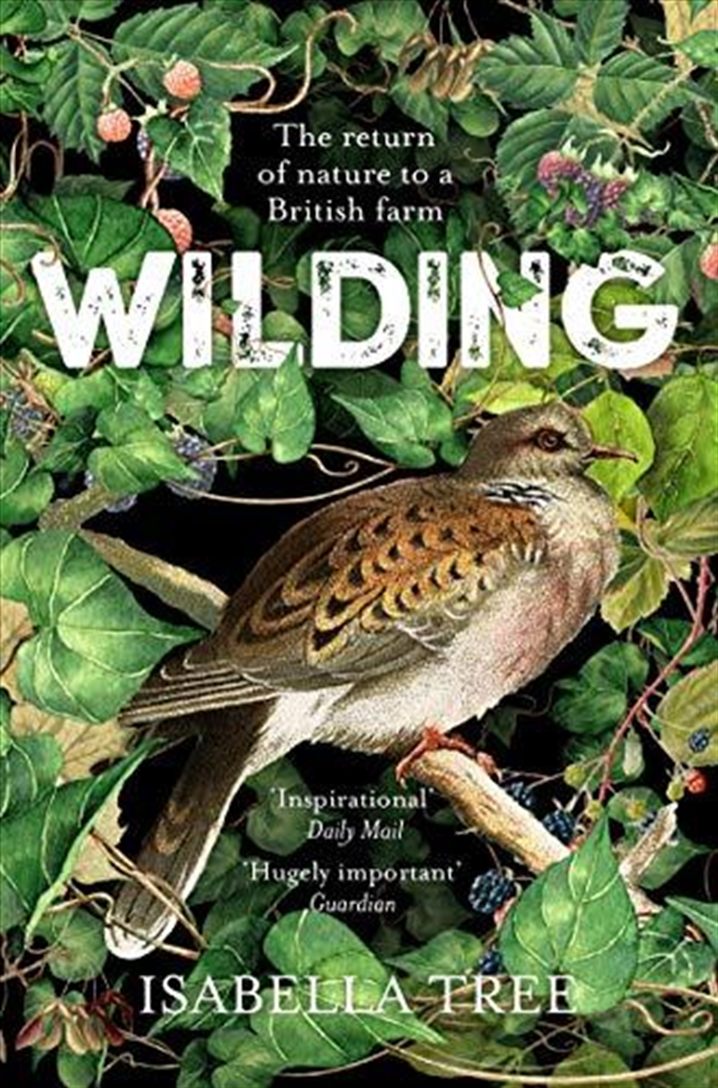 Wilding: The Return of Nature to a British Farm/Product Detail/Reading