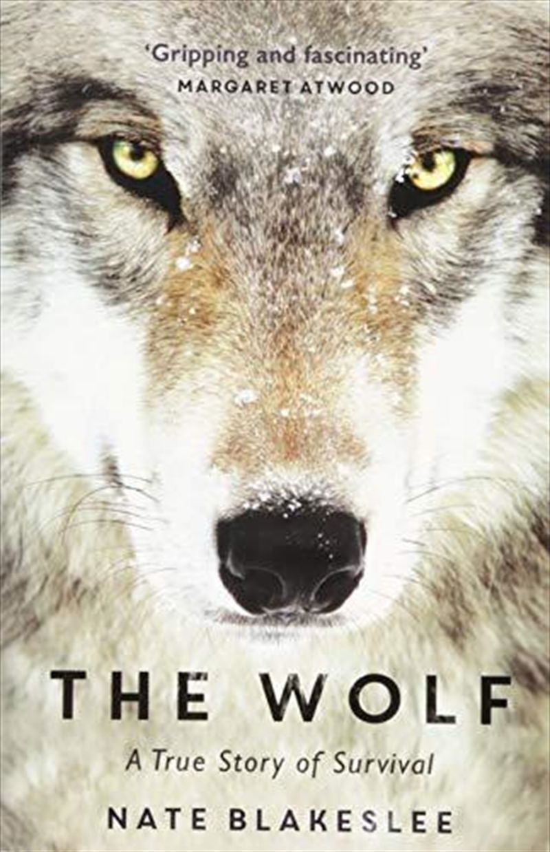 The Wolf/Product Detail/Reading