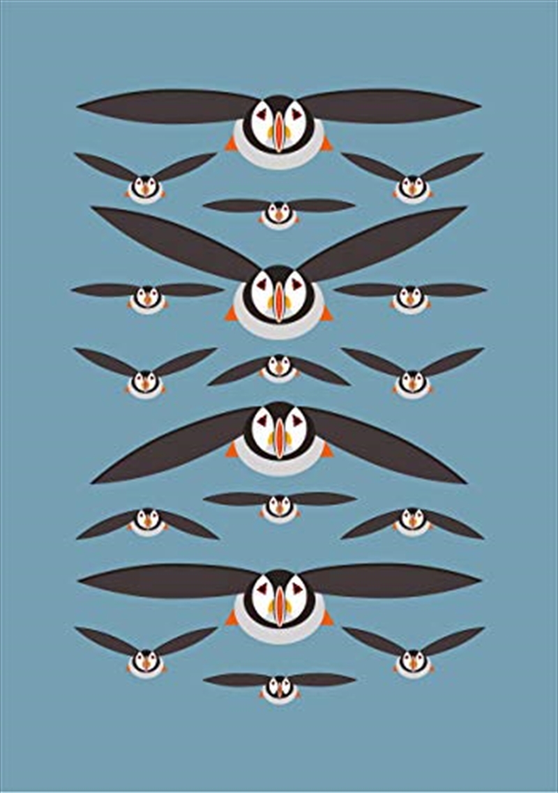 I Like Birds: Flying Puffins Hardback Notebook/Product Detail/Notebooks & Journals