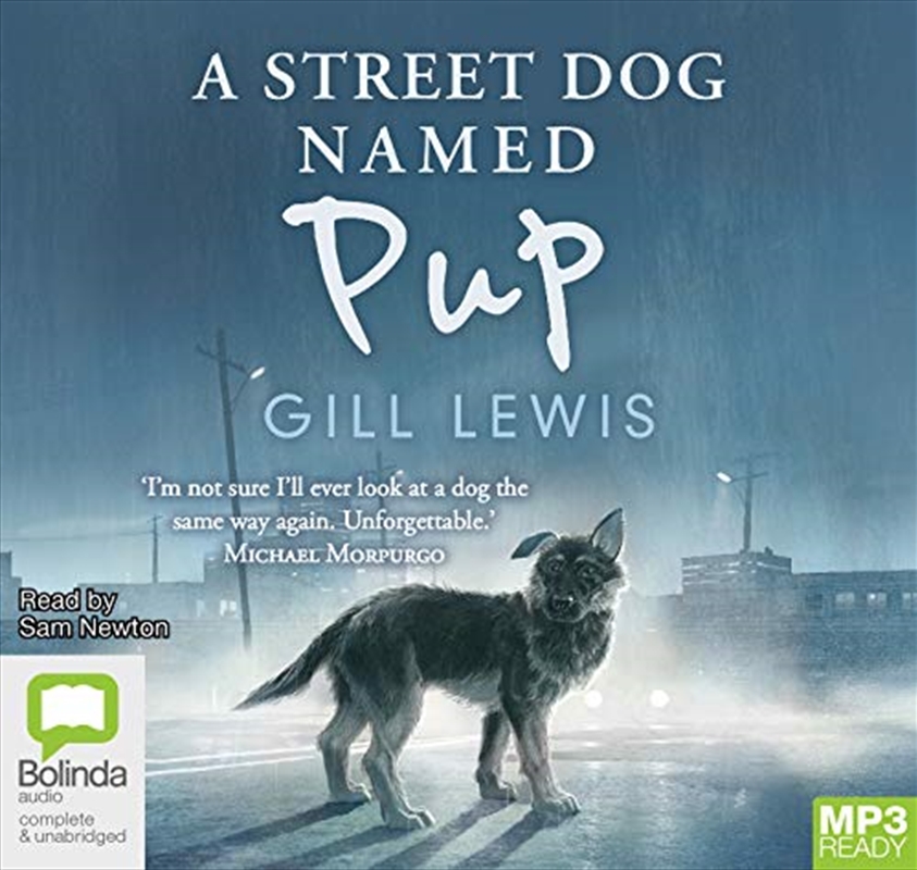 A Street Dog Named Pup/Product Detail/Childrens Fiction Books