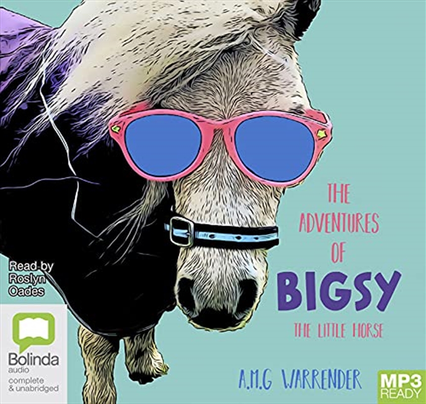 The Adventures of Bigsy - The Little Horse/Product Detail/Childrens Fiction Books