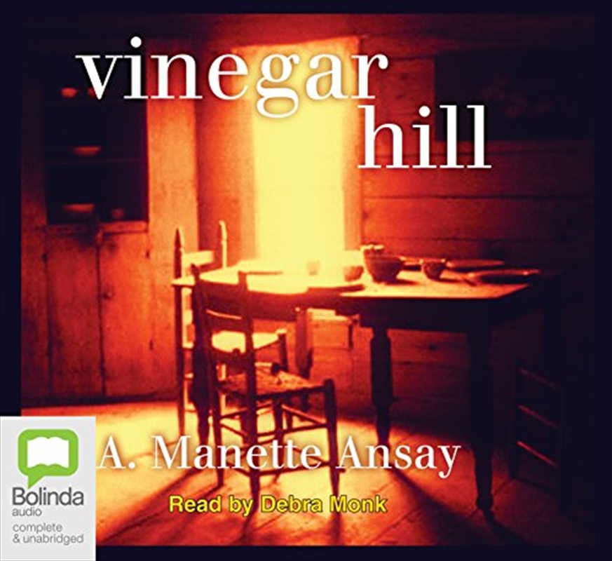 Vinegar Hill/Product Detail/Historical Fiction