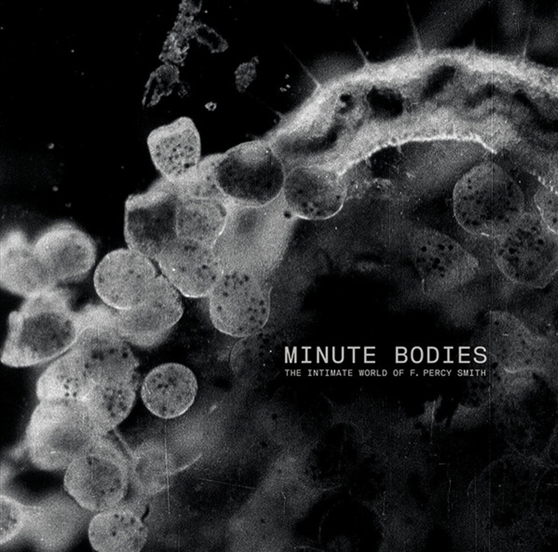 Minute Bodies: Intimate World Of F. Percy Smith/Product Detail/Rock