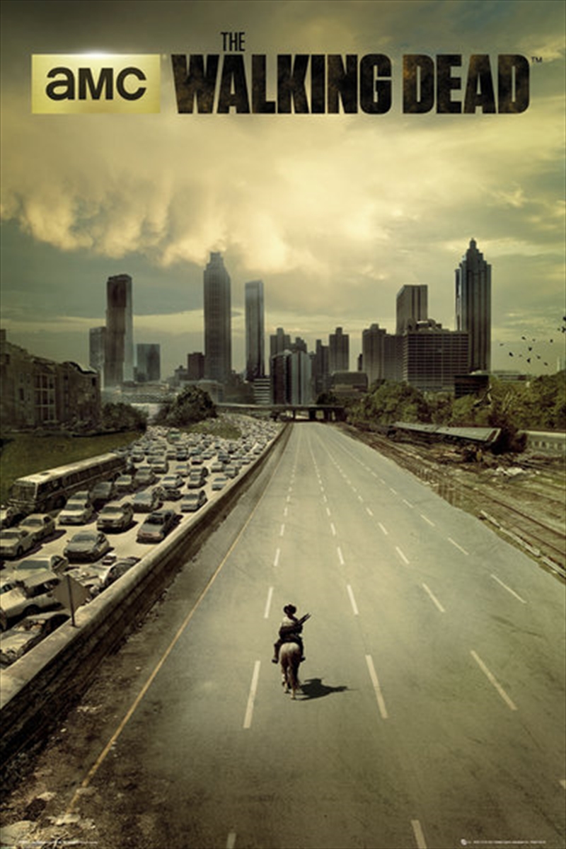 Walking Dead City Poster/Product Detail/Posters & Prints