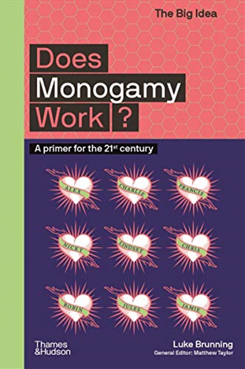 Does Monogamy Work?: A Primer for the 21st Century (The Big Idea Series)/Product Detail/Politics & Government