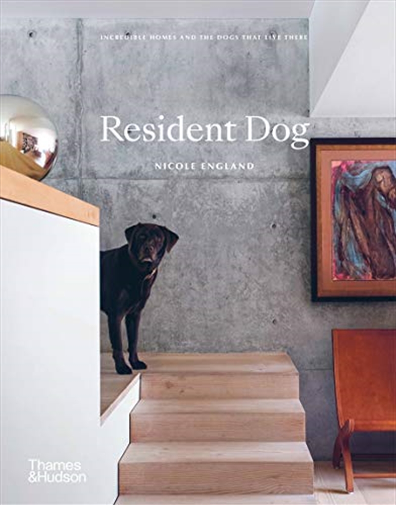 Resident Dog (Volume 2)/Product Detail/Reading