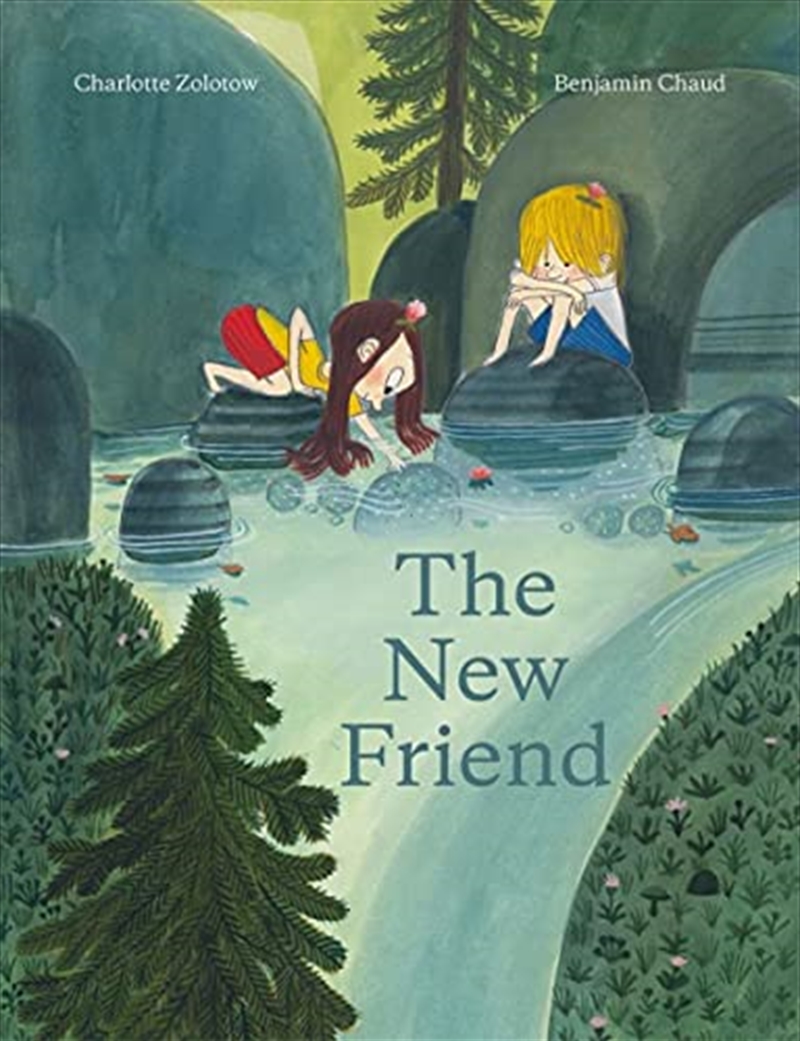 The New Friend/Product Detail/Childrens Fiction Books