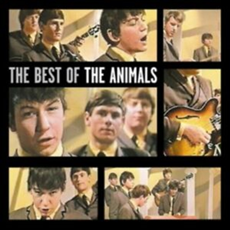 Best Of The Animals/Product Detail/Blues