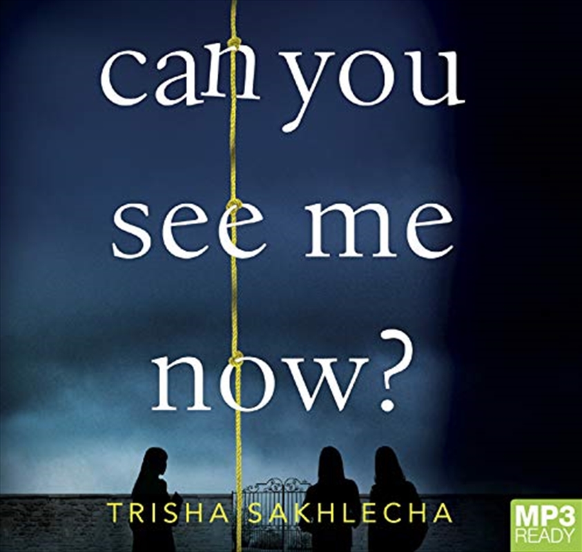 Can You See Me Now?/Product Detail/Crime & Mystery Fiction