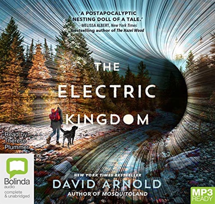 The Electric Kingdom/Product Detail/Young Adult Fiction