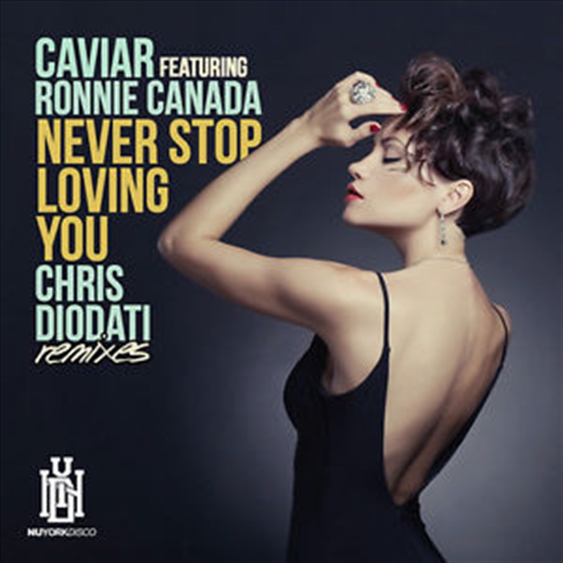 Never Stop Loving You (Chris Diodati Remixes)/Product Detail/Rock