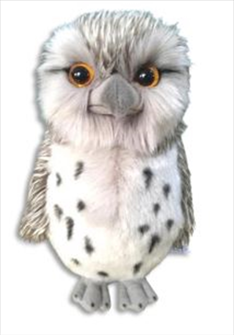 Twigs The Tawny Frogmouth 20cm Plush/Product Detail/Plush Toys