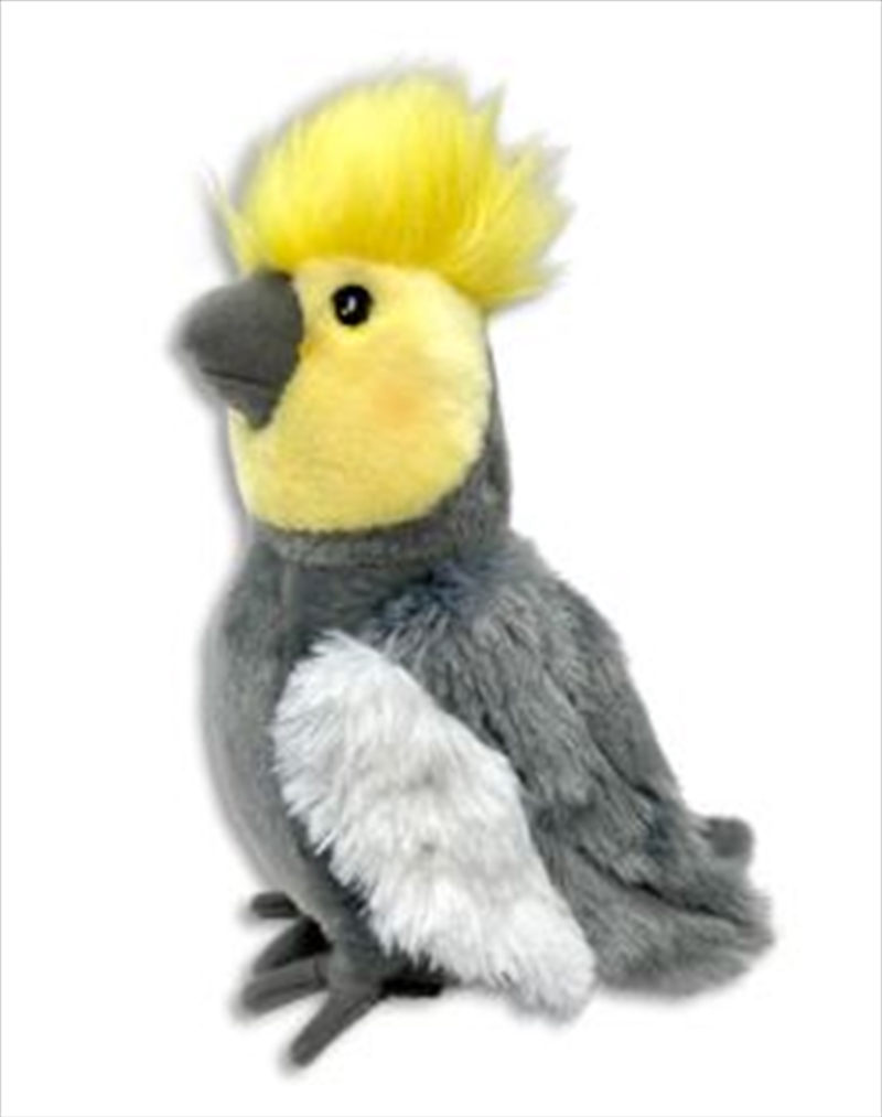 Cosmo the Cockatiel 18cm Plush/Product Detail/Plush Toys