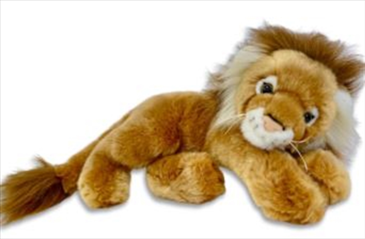 Kabili The Lion 30cm Laying Plush/Product Detail/Plush Toys