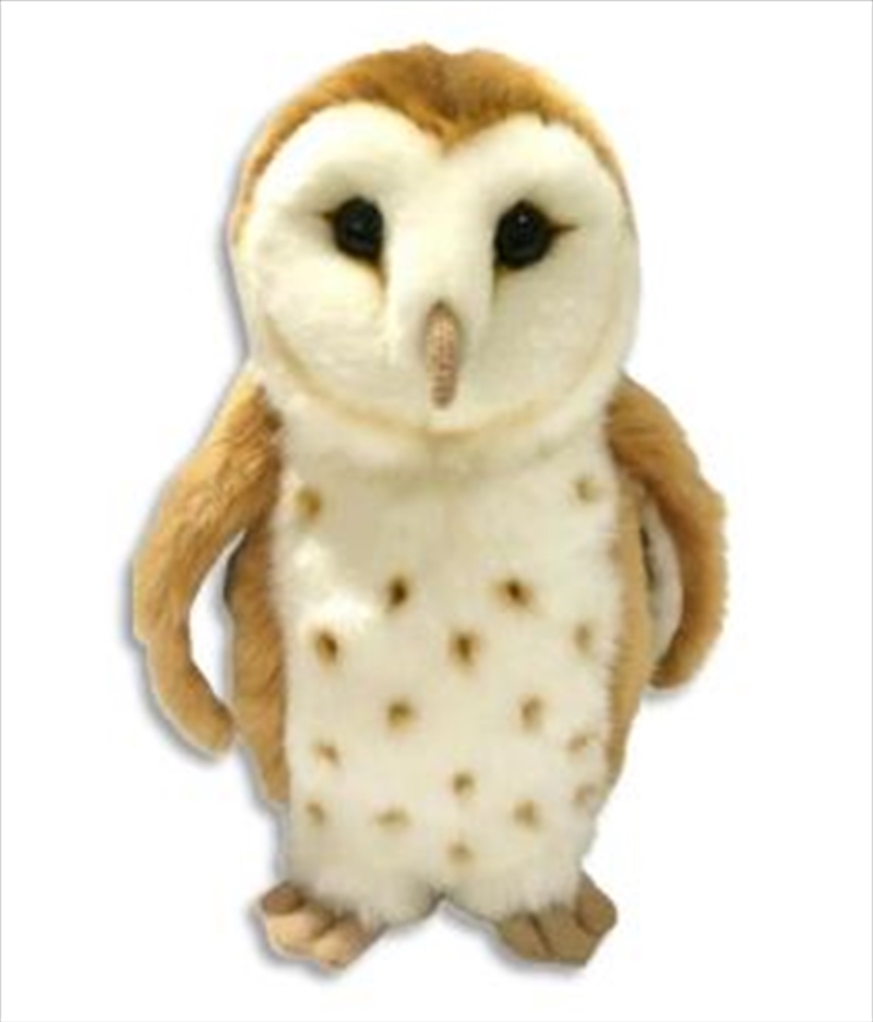 Hootibelle The Barn Owl 20cm Plush/Product Detail/Plush Toys