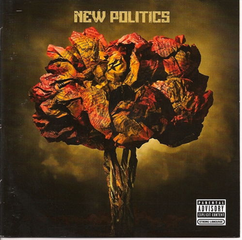 New Politics/Product Detail/Rock