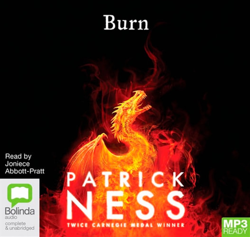 Burn/Product Detail/Young Adult Fiction