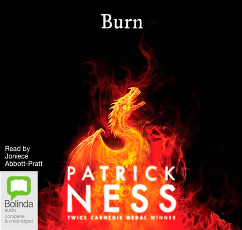 Burn/Product Detail/Young Adult Fiction