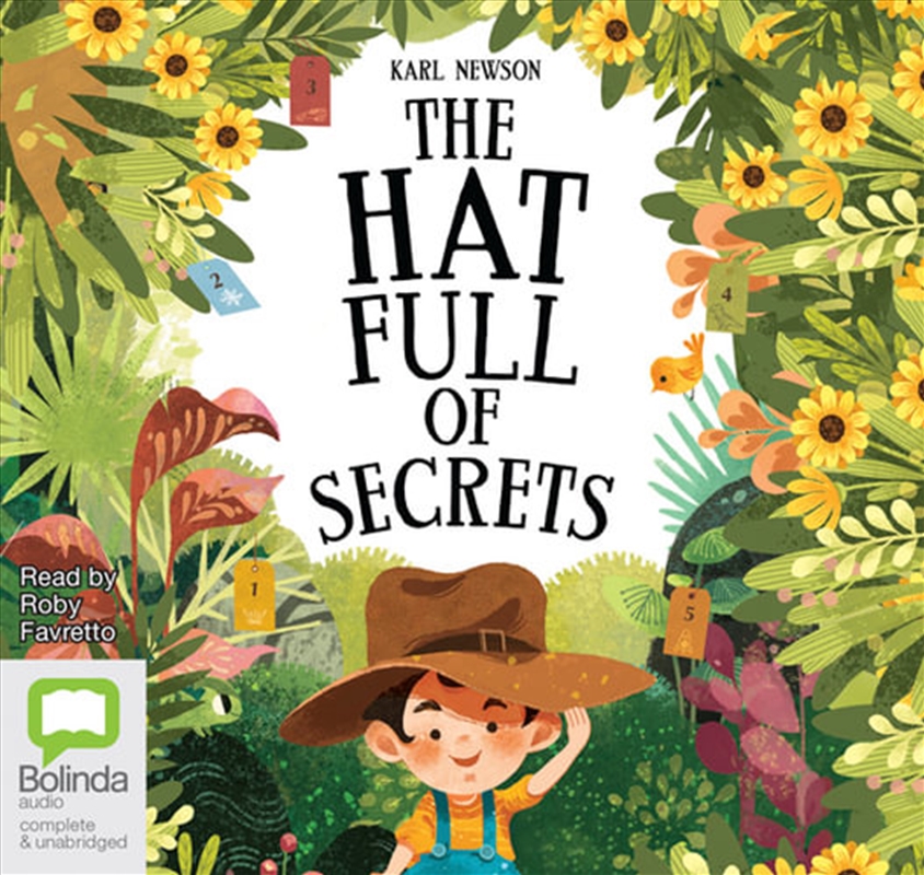 The Hat Full of Secrets/Product Detail/Childrens Fiction Books