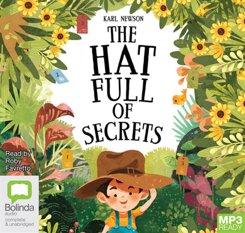 The Hat Full of Secrets/Product Detail/Childrens Fiction Books