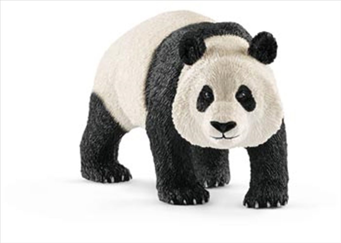 Schleich - Giant Panda Male/Product Detail/Play Sets