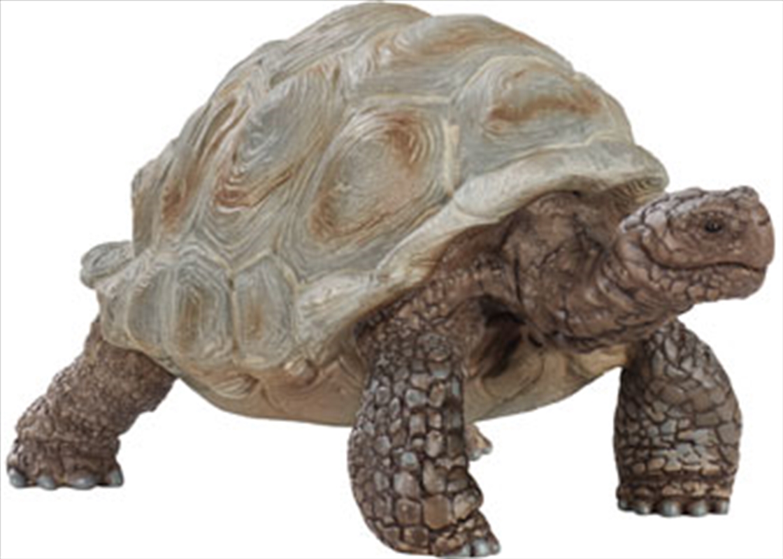 Schleich - Giant tortoise/Product Detail/Play Sets