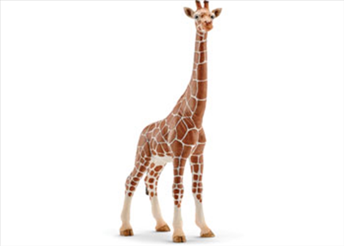 Schleich - Giraffe Female/Product Detail/Play Sets