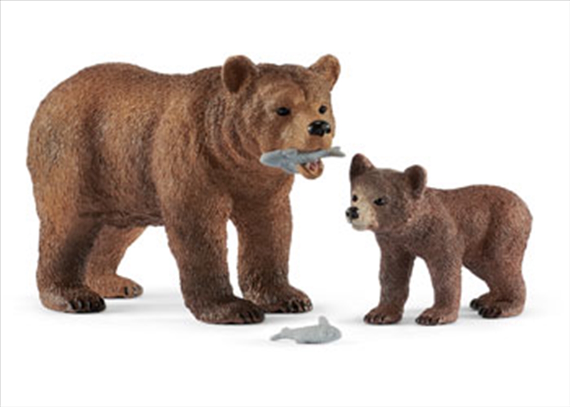 Schleich-Grizzly bear mother with cub/Product Detail/Play Sets