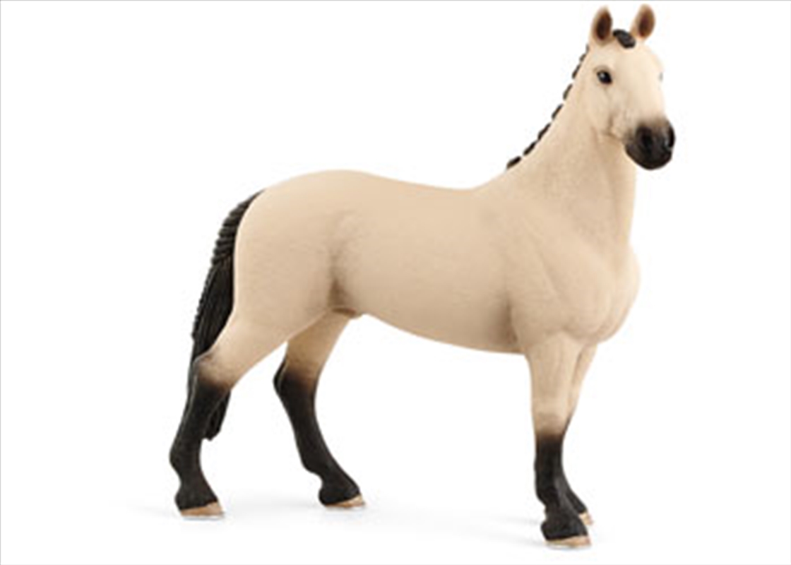 Schleich - Hannoverian Gelding, Red Dun/Product Detail/Play Sets