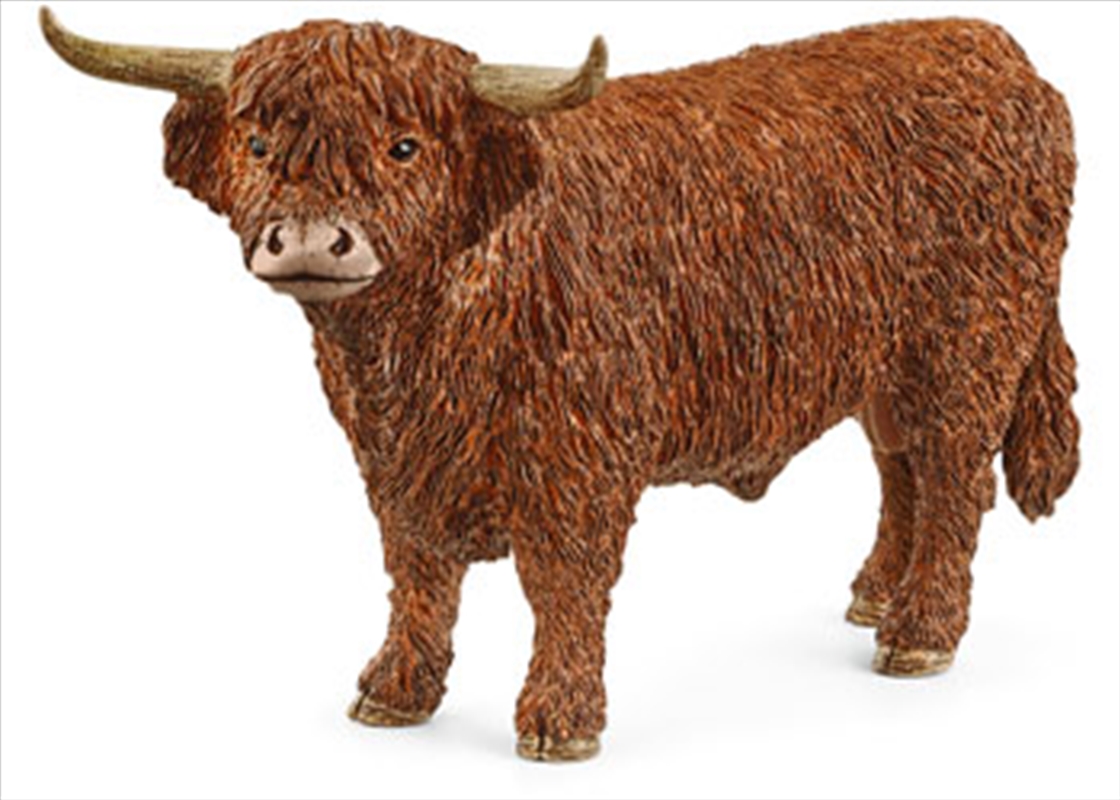 Buy Schleich Highland Bull Figure | Sanity