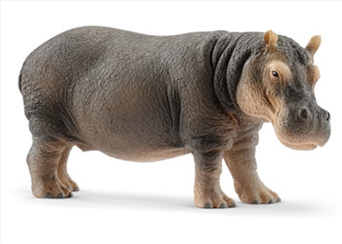 Schleich - Hippopotamus/Product Detail/Play Sets