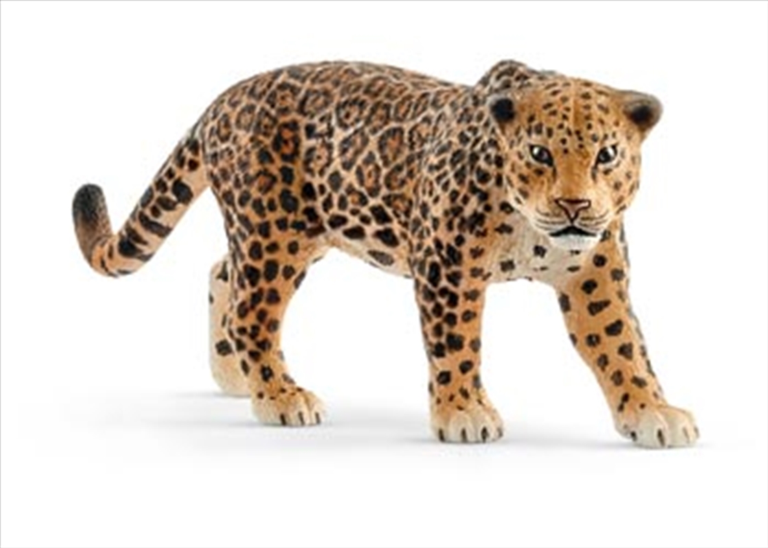 Schleich - Jaguar/Product Detail/Play Sets