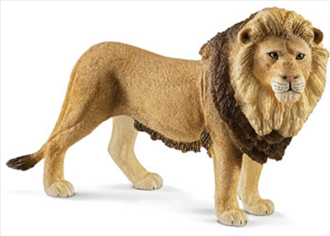 Schleich - Lion/Product Detail/Play Sets