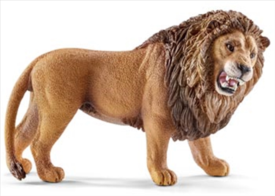 Schleich - Lion Roaring/Product Detail/Play Sets