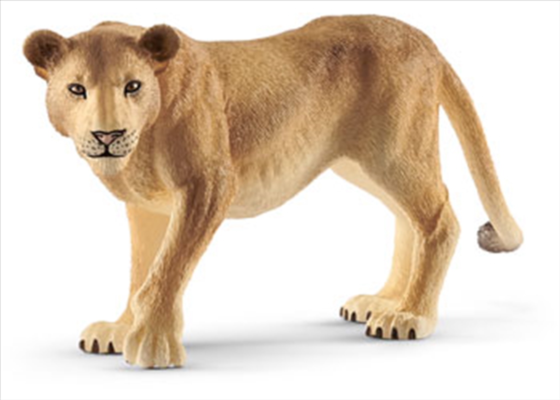 Schleich-Lioness/Product Detail/Play Sets