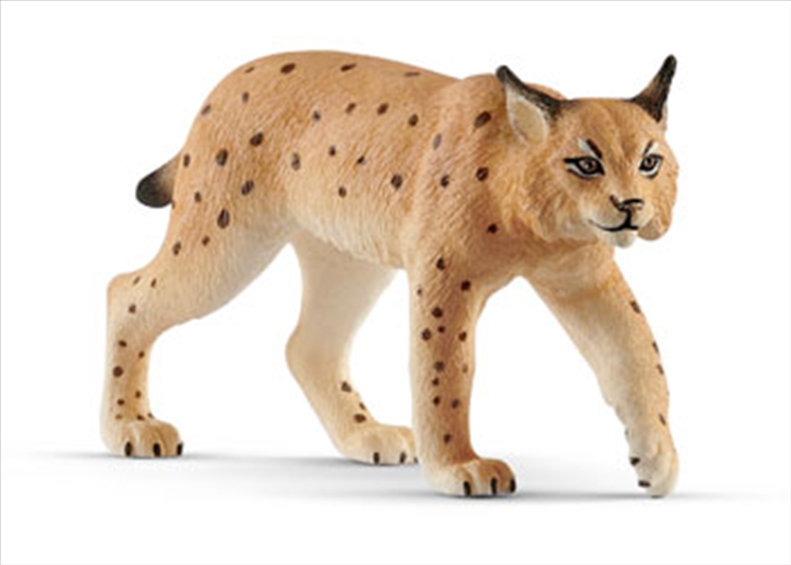 Schleich-Lynx/Product Detail/Play Sets