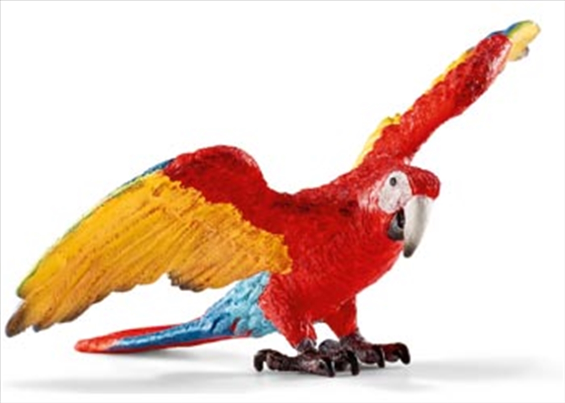 Schleich - Macaw/Product Detail/Play Sets