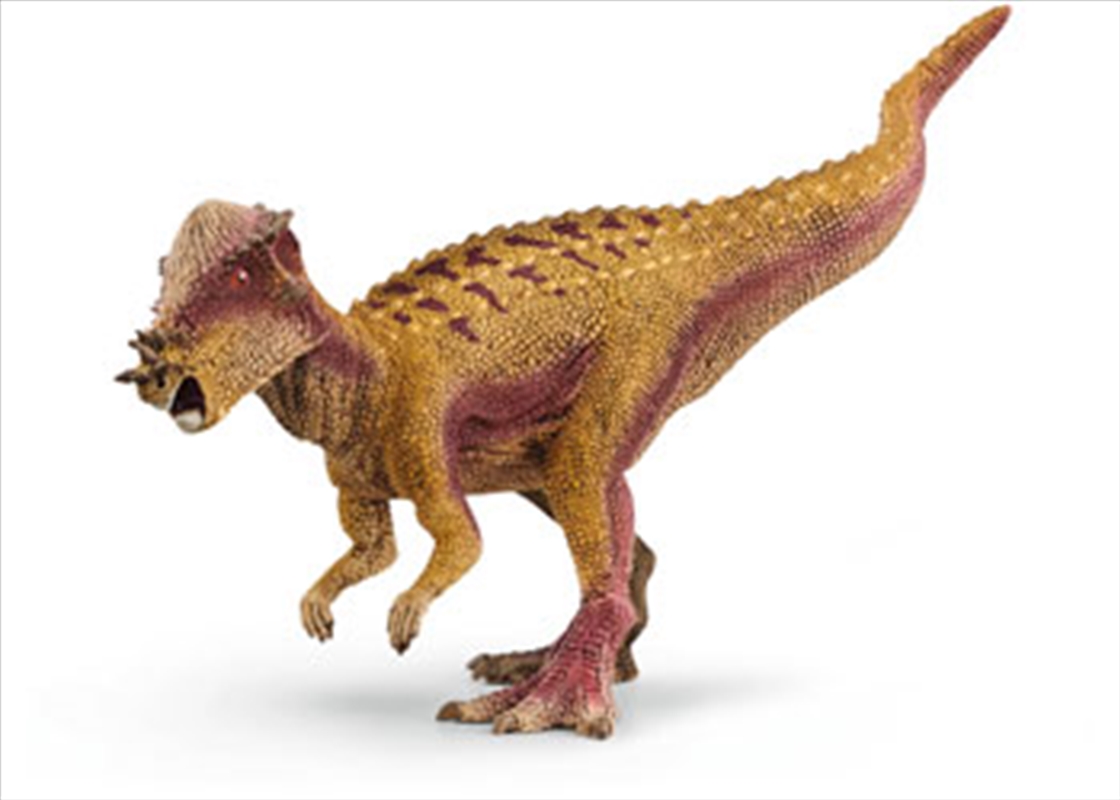 Schleich - Pachycephalosaurus/Product Detail/Play Sets