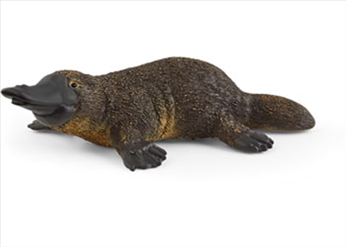 Schleich - Platypus/Product Detail/Play Sets