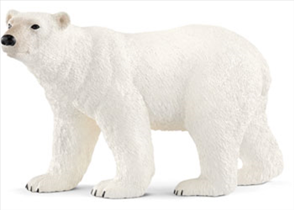 Schleich - Polar Bear/Product Detail/Play Sets