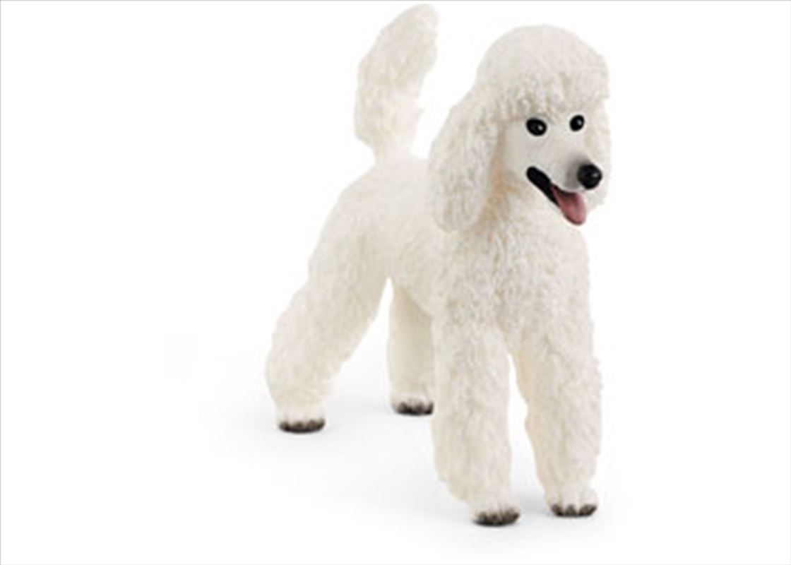 Schleich - Poodle/Product Detail/Play Sets