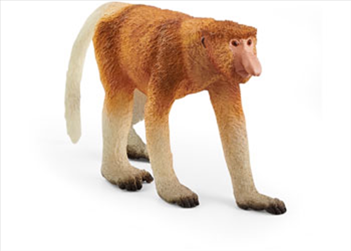 Schleich - Proboscis Monkey/Product Detail/Play Sets