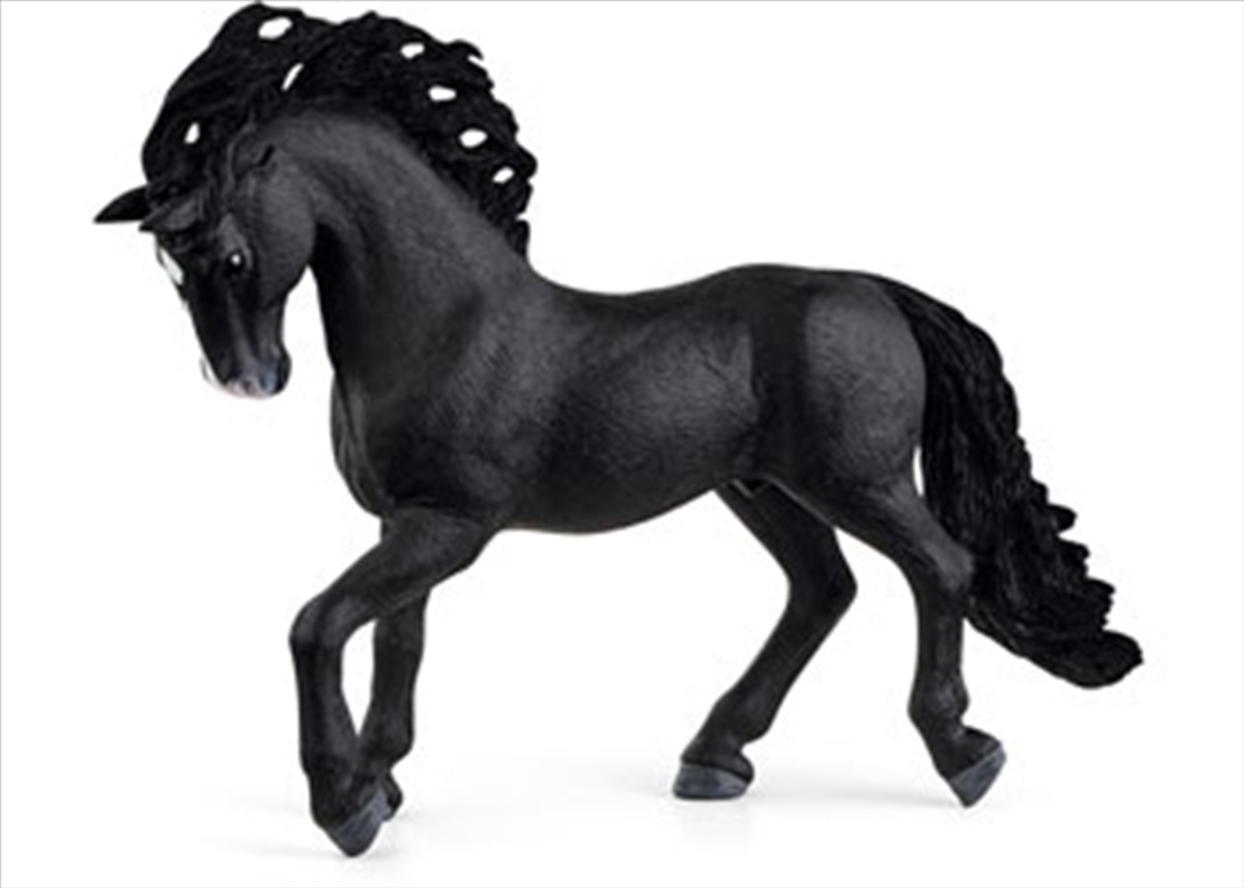 Schleich - Pura Raza Espanola Stallion/Product Detail/Play Sets