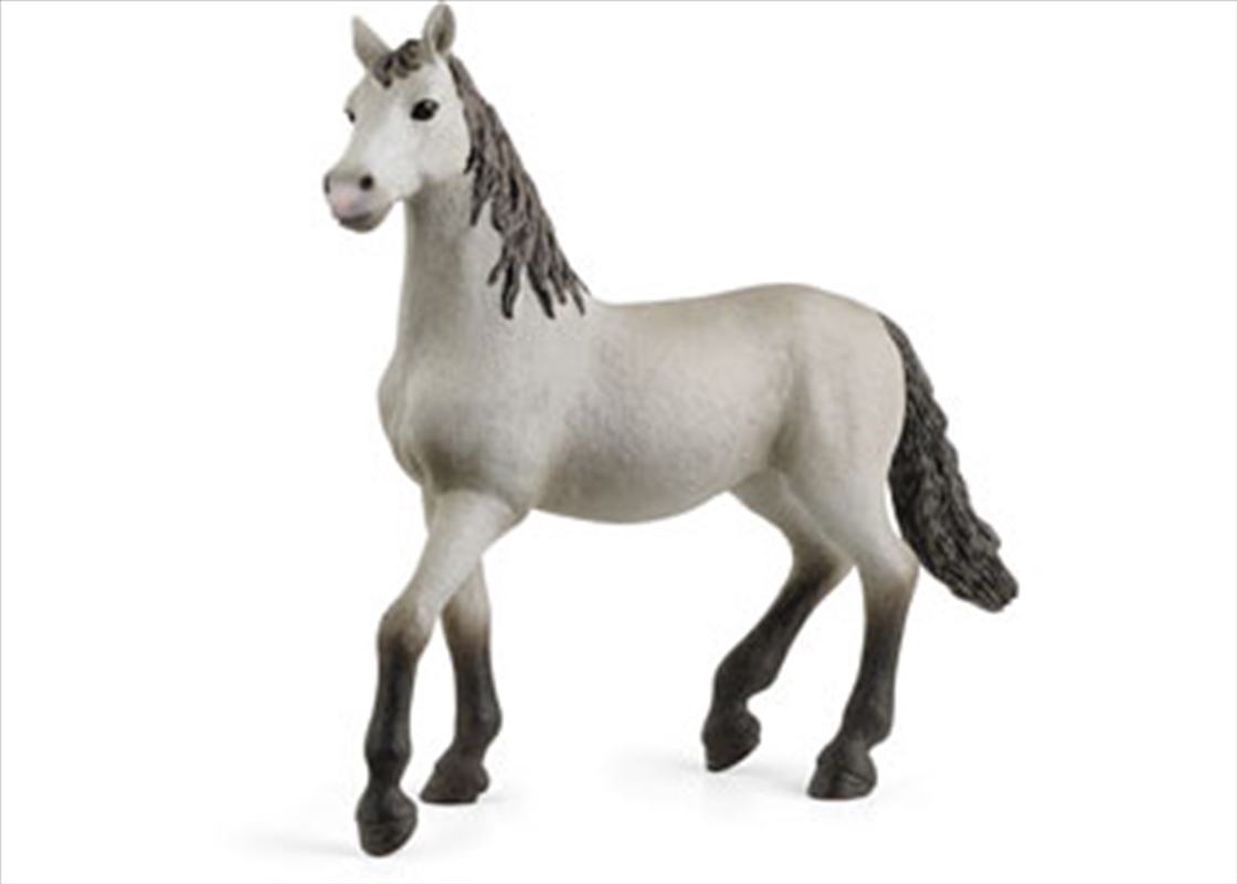 Schleich - Pura Raza Espanola Young Horse/Product Detail/Play Sets