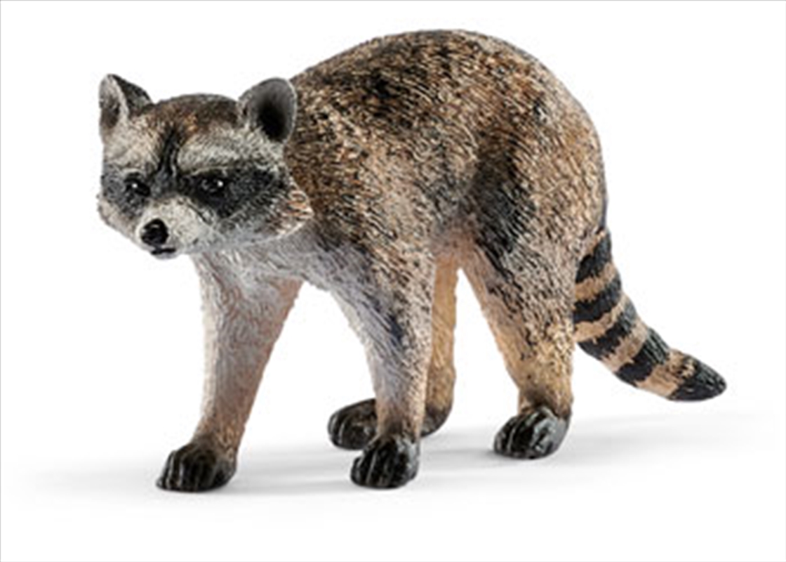 Schleich-Raccoon/Product Detail/Play Sets